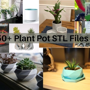 Plant Pots STL Files Bundle | 3D Printing Files | Self Watering Planter | Plant Saucer | Flower Pot | Gardening | Digital Download