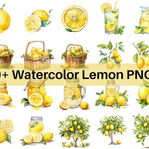 20+ Watercolor Lemon Clipart - Transparent Background - 300 DPI PNG - Commercial Use