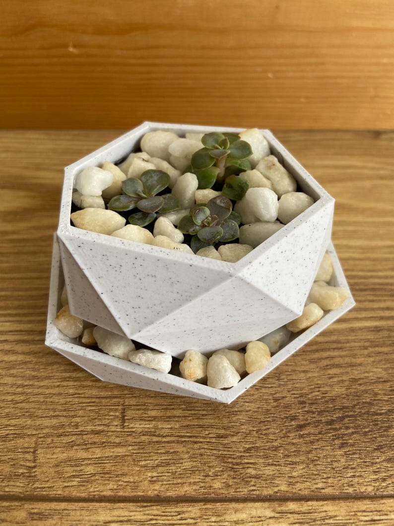 May include: A white geometric planter with a speckled finish, filled with small white rocks and a succulent plant.