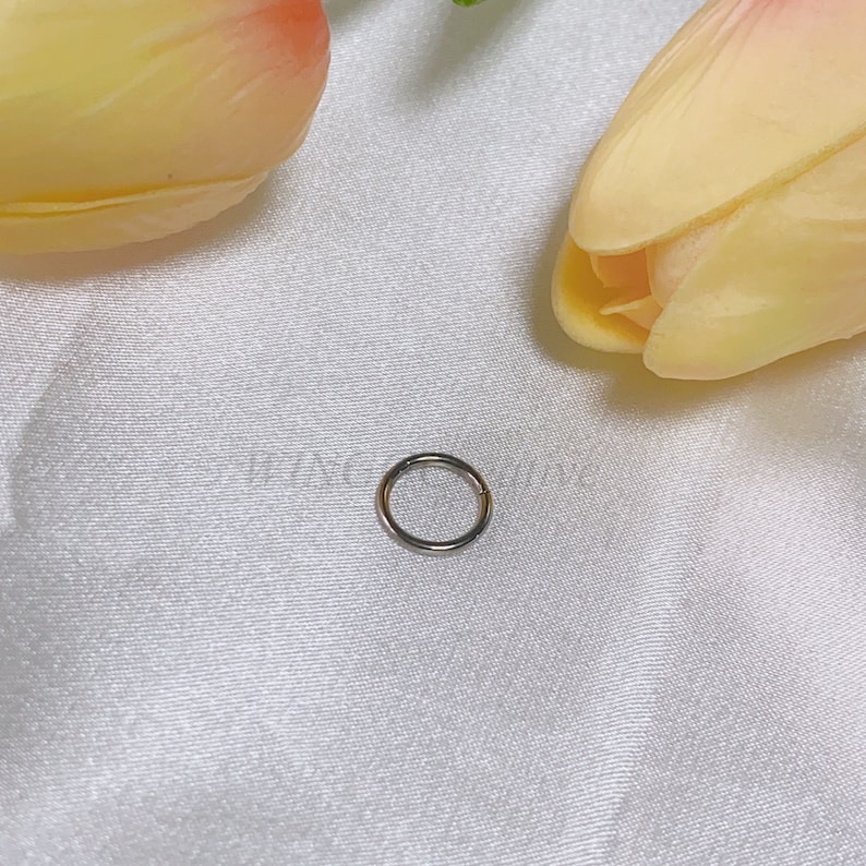 Anillo de labio redondo minimalista, perno de labios de personalidad, anillo de estilo punk, perforación de tragus de cartílago, perno de acero de titanio, joyería de perforación corporal imagen 6