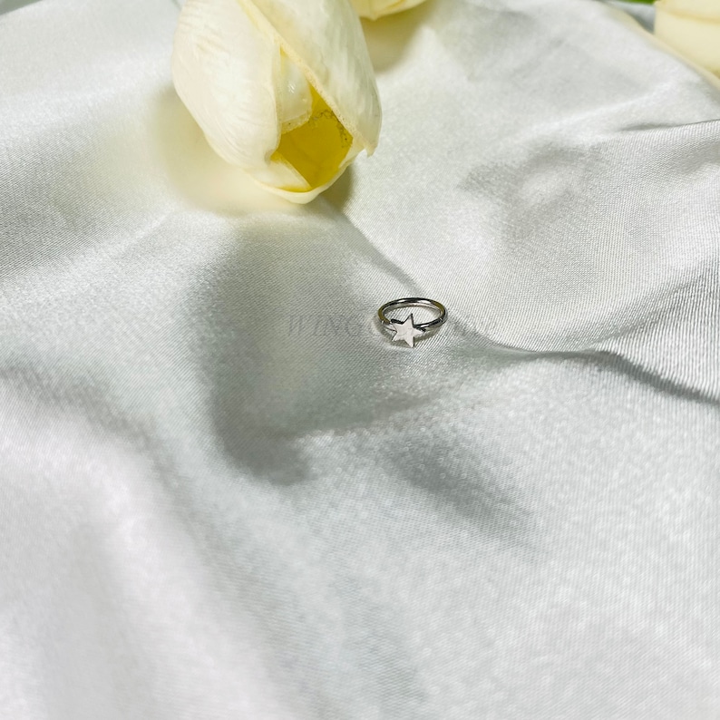 Piercing labial minimalista em formato de estrela, piercing labial delicado, piercing labial em formato de estrela, piercing estilo punk, piercing na cartilagem, piercing no tragus, pingentes em aço titânio imagem 9