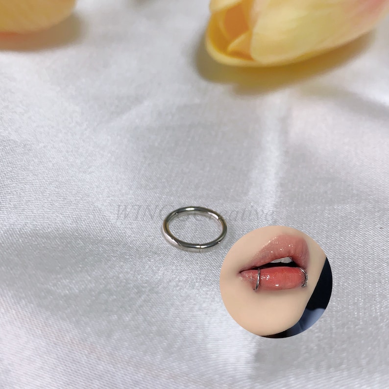 Anillo de labio redondo minimalista, perno de labios de personalidad, anillo de estilo punk, perforación de tragus de cartílago, perno de acero de titanio, joyería de perforación corporal imagen 1