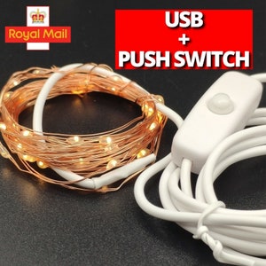 May include: A set of copper wire fairy lights with warm white LED bulbs, coiled up with a white USB cable and a white push button switch. The lights are battery operated and have a USB connector.
