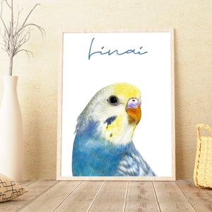 Budgie Pet Portrait From Photo, Bird Portrait Customized, Parakeet Budgie Art, Bird Lover Gift, Custom Parakeet Art Print, archivo digital