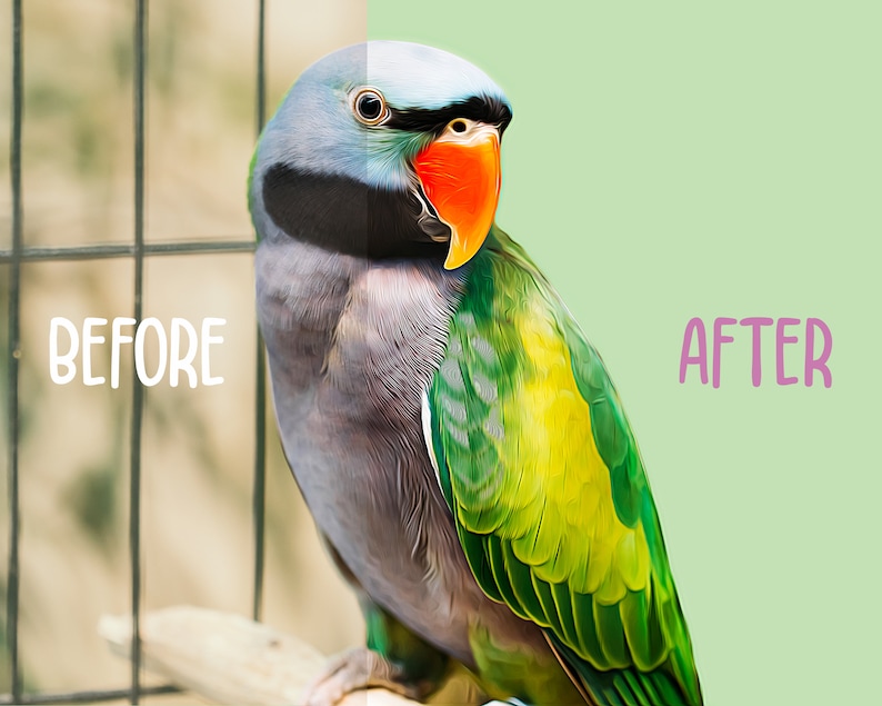 Custom Parrot Portrait Real Parrot Portrait Bird Owner Gift Etsy