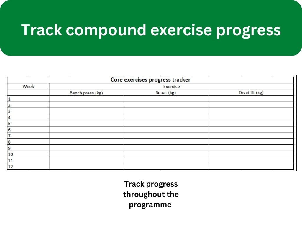 Workout & Fitness Tracker Spreadsheet for Excel 12 Week Gym Workout Training Planner Program