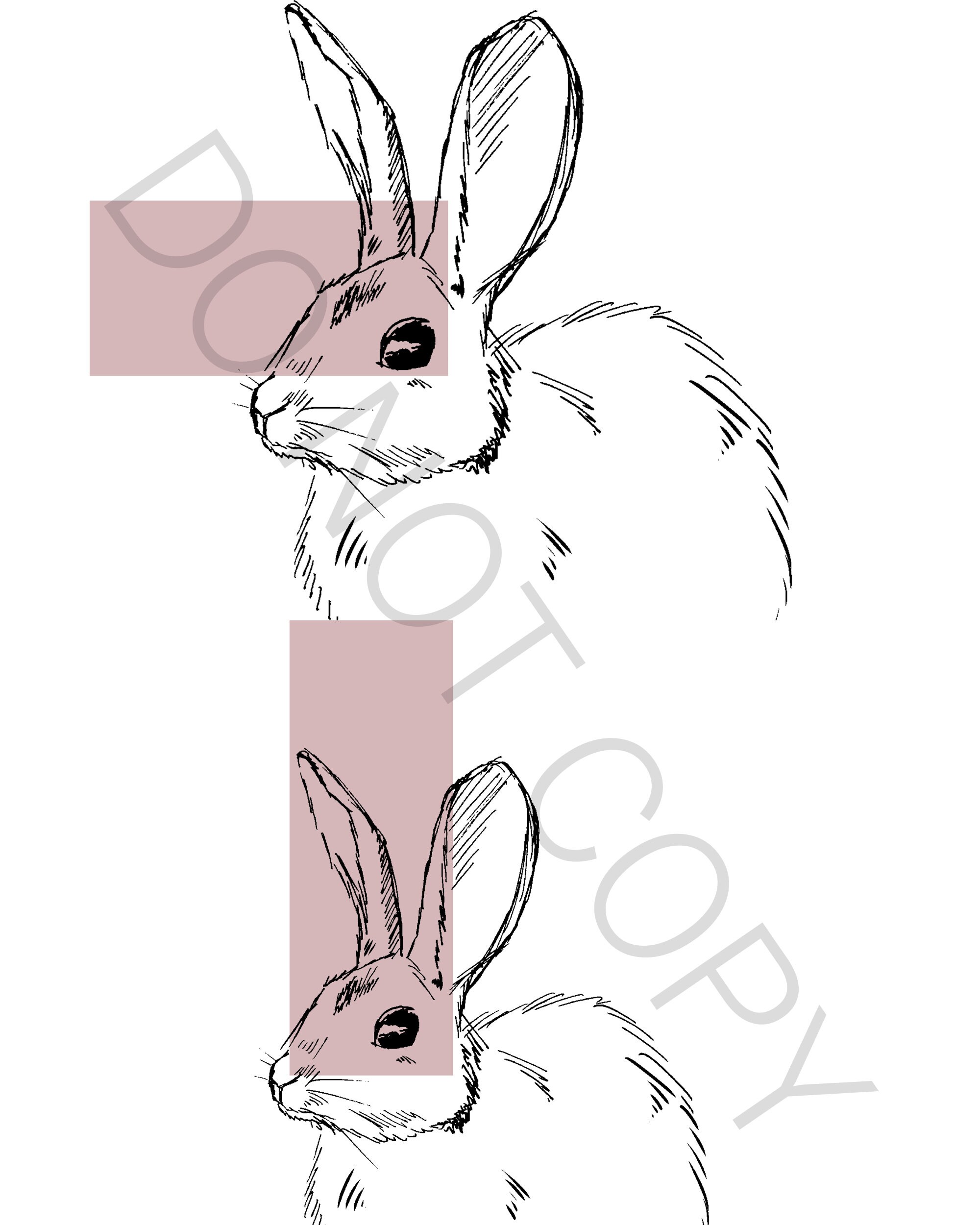 Rabbit Printable Wall Art | Animal Wall Art| 3 Prints | Digital ...