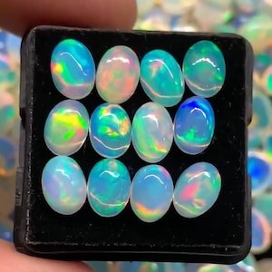 Könnte beinhalten: Eine Sammlung ovalförmiger Opale in einer schwarzen Schale. Die Opale zeigen eine Reihe von Farben, darunter Blau, Grün, Rosa und Gelb, mit einem schimmernden, irisierenden Effekt. Die Edelsteine sind glatt und poliert.