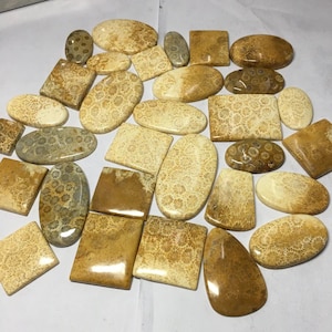 Gele kleur fossiel koraal mix partij Kilogram partij gele fossiele koraal cabochon edelsteen Voor sieraden en hangend gebruik, mix vorm alle maten partij.