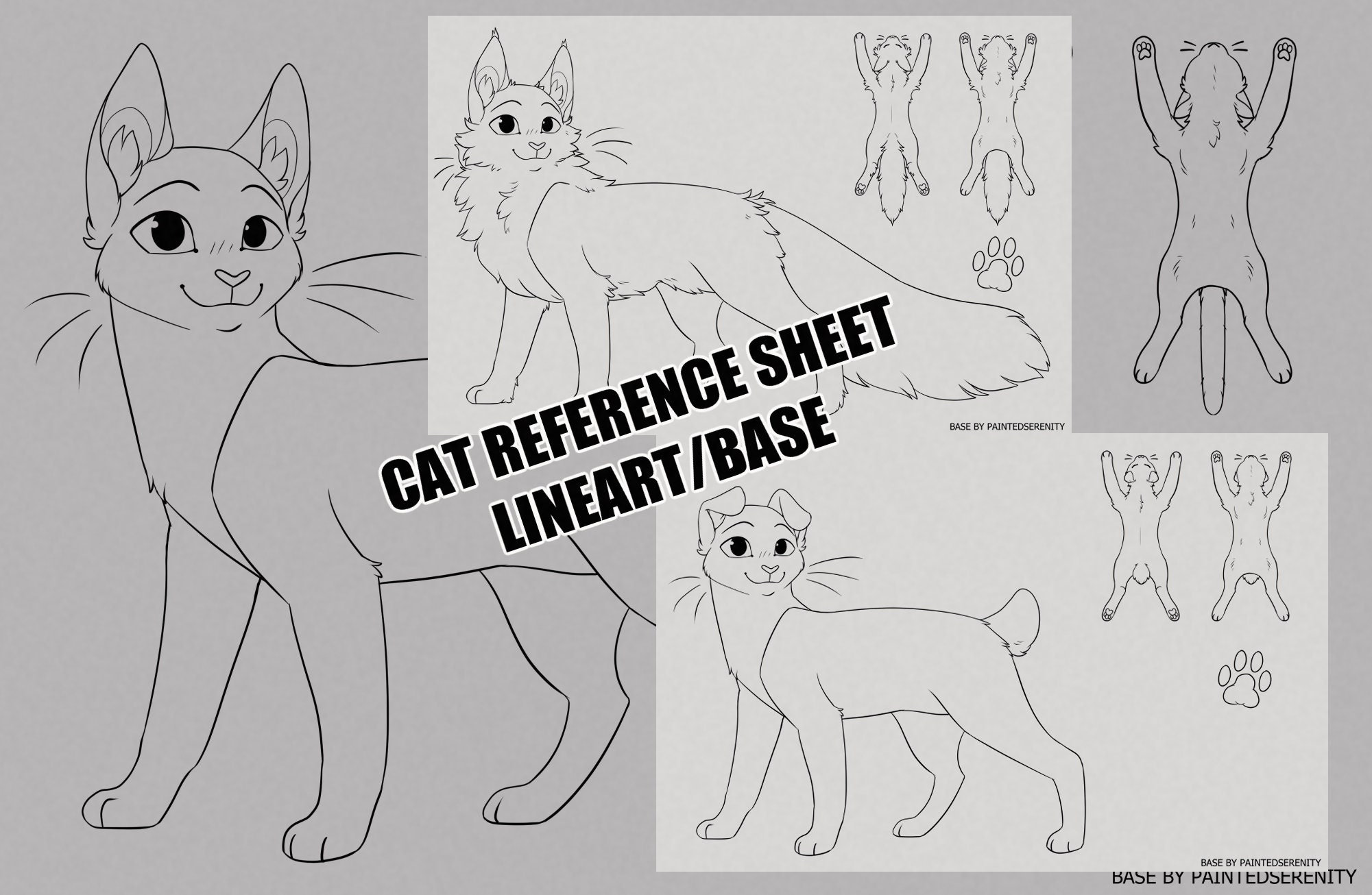 Warriors Reference Sheet Base Feline & Cat Lineart Base