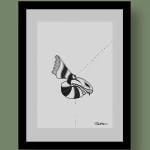 Portrait of a Shrimp, digital Download