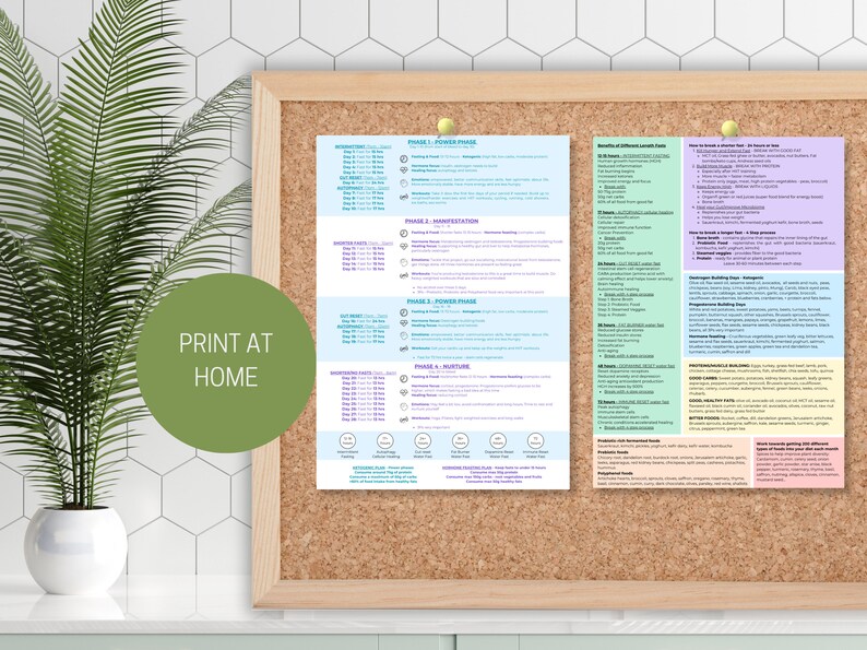 Fast Like a Girl Summary Page Including Food Lists and Ways to Break a