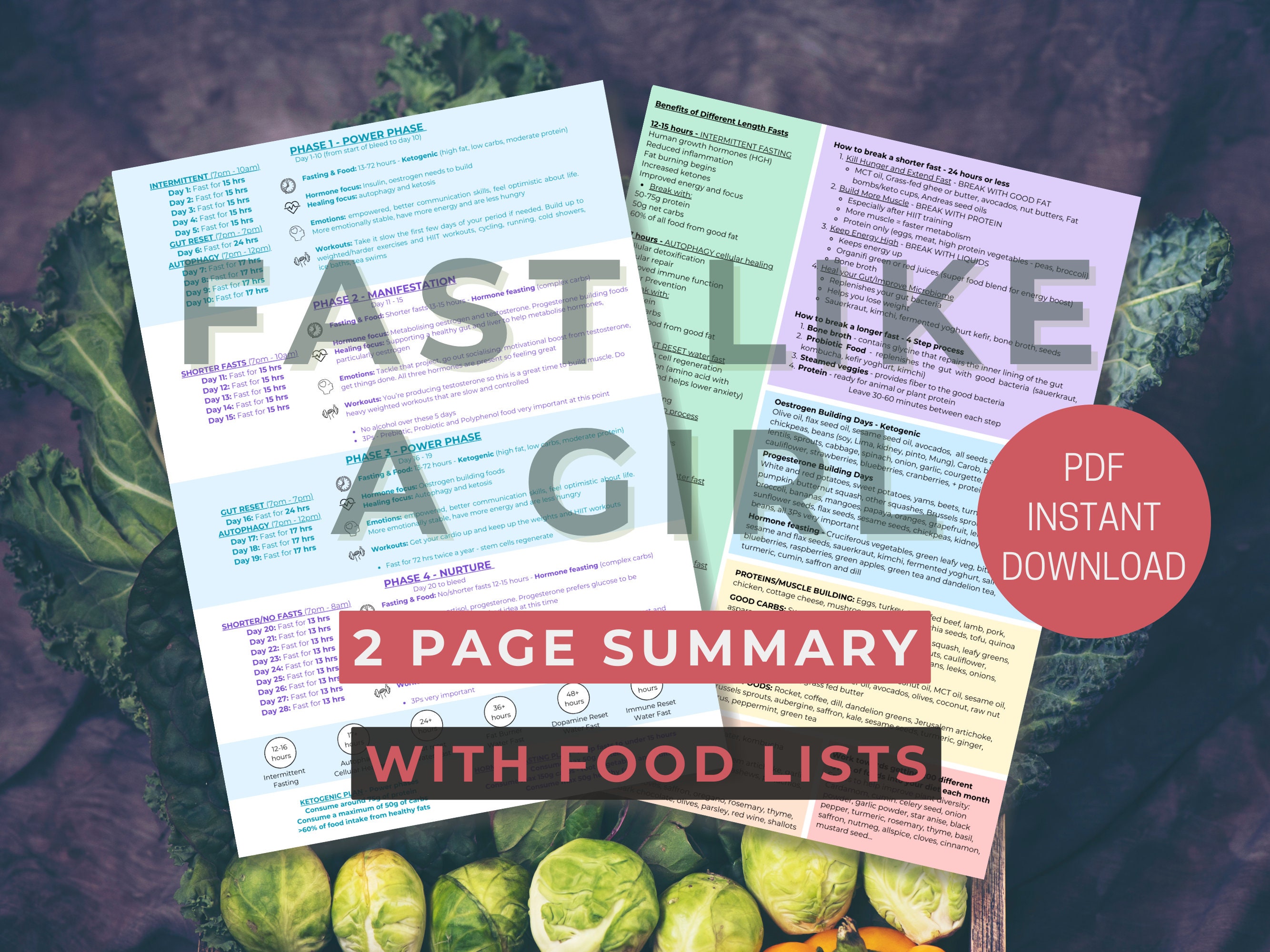 Fast Like a Girl Summary page including Food lists and Ways to break a fast