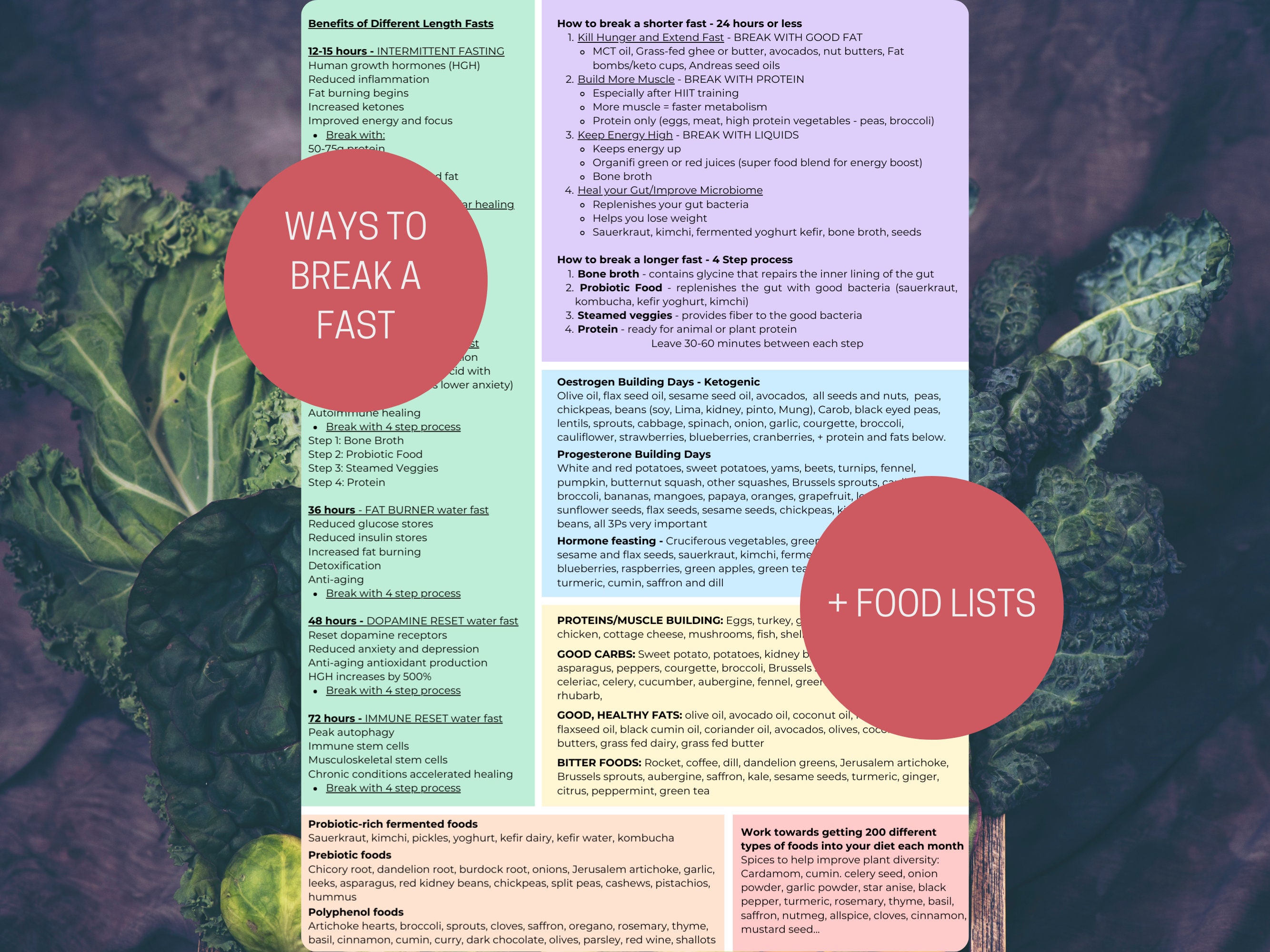 FULL BUNDLE Fast Like a Girl Summary Pages and Tracker, Female Fasting
