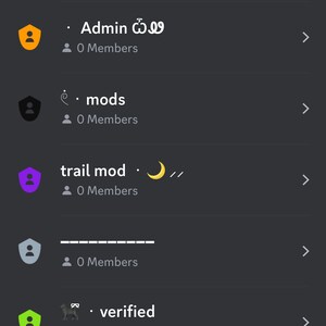 Puede incluir: Una captura de pantalla de una lista de roles de servidor de Discord. Los roles son Propietario, Administrador, moderadores, moderador de pista, verificado, miembros y bots. Cada rol tiene un color e icono diferentes. Los roles se enumeran en orden de jerarqu&iacute;a, siendo Propietario el rol m&aacute;s alto y bots el rol m&aacute;s bajo.