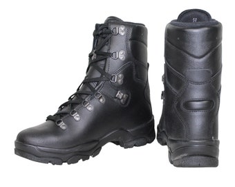 New temperate zone combat shoe. French army