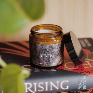 Sevro – Vela de libros / Merchandising de libros / Regalo para lectores / Inspirado en libros / Amanecer rojo / Hijo dorado / Estrella de la mañana / Cítricos y clavo