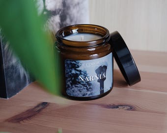 Narnia - Bookish Candle | Book Merch | Book Lover Gift | Inspired by Books| Gift for Readers | Fantasy | Classic Literature | Fig & Almond