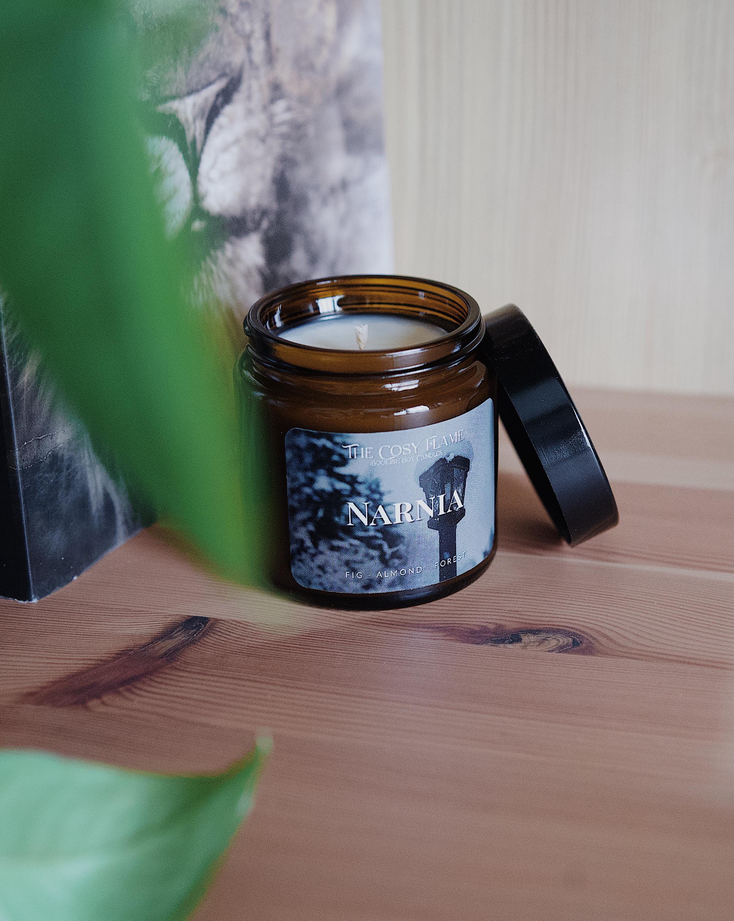 Narnia - Vela de libros / Merchandising de libros / Regalo para amantes de los libros / Inspirado en los libros / Regalo para lectores / Fantasía / Literatura clásica / Higo y almendra