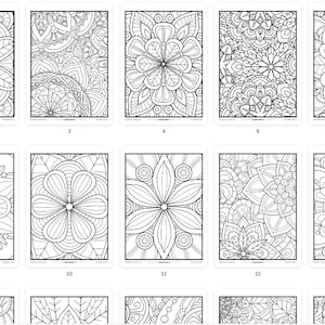 Puede incluir: Un conjunto de 18 p&aacute;ginas para colorear en blanco y negro con intrincados dise&ntilde;os florales. Cada p&aacute;gina est&aacute; enmarcada con un borde negro y numerada del 1 al 18.