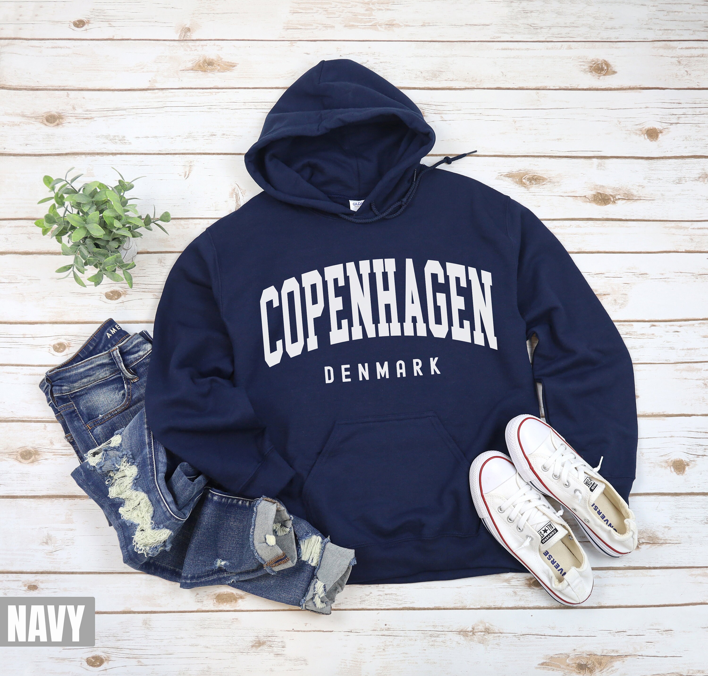 Sweat Hummel DBU Travel Hoodie Danemark Bleu Marine Taille M à 3XL Neuf
