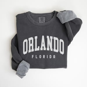 Orlando Sweatshirt Comfort Colors Orlando Crewneck, Florida Bachelorette Trip Matching Family Trip, Orlando Souvenir Travel Gift