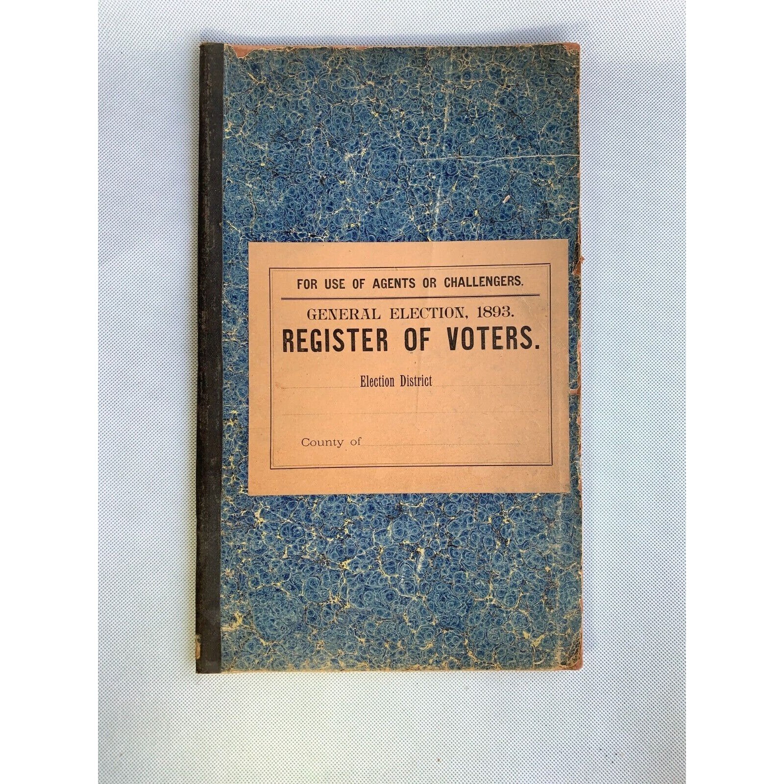 Suffrage Era Voter Registration Logbook 1893 Register of Voters Rare ...