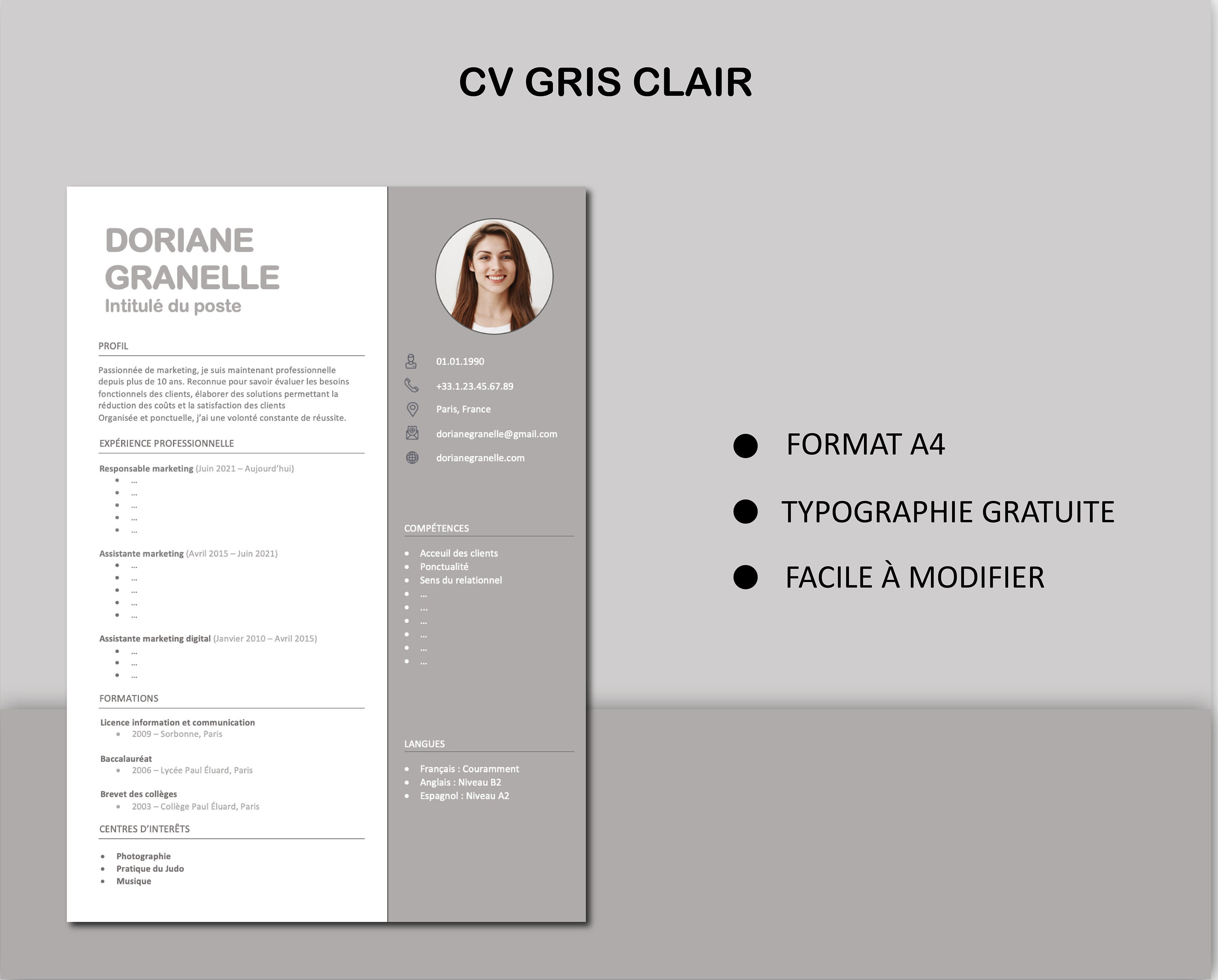 CV Professionnel Français | Modèle de CV Gris clair | Curriculum Vitae ...