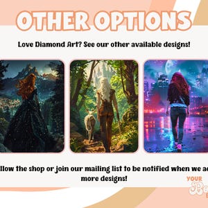 May include: Promotional graphic with the text "OTHER OPTIONS" and "Love Diamond Art? See our other available designs!" Three images are displayed, each featuring a person in a fantasy setting. The shop name "Your Bookish Emporium" is also shown.