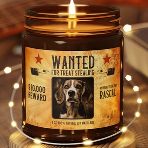 Personalized Funny Dog Candle for Dog Owner Gift, Custom Name and Picture,  Humorous Pet Present, Scented Soy Candle, Multi-Size, Amber Jar