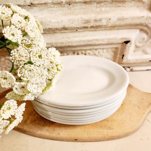 May include: A stack of white ceramic plates on a wooden cutting board. A sprig of white flowers is positioned to the left of the plates. The background features a distressed, off-white wall.