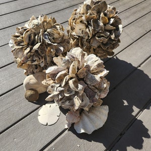 May include: Three spherical decorative clusters made of layered, textured oyster shells in shades of gray, brown, and tan. Accompanying the spheres are two flat, white sand dollars, a small round brown stone, and a single white fan-shaped seashell.