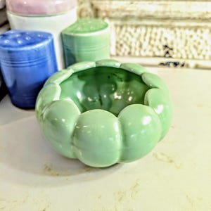 Green Lotus Bowl     I   Succulent Planter   I  Bulb Planter