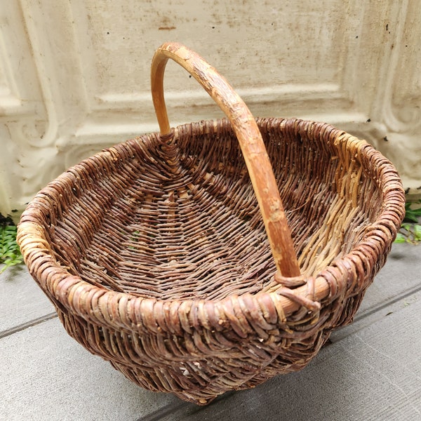 Vintage Italian Gathering Basket   I   Ginestra Tree Origin   I   1940's