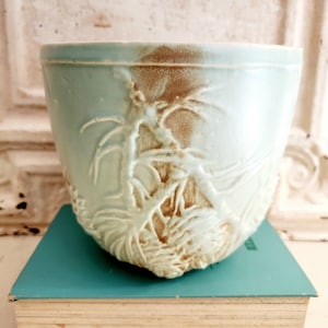 May include: A light blue ceramic bowl with a raised, textured botanical relief pattern featuring palm-like leaves. The surface displays a smooth, glossy finish with patches of exposed brown clay showing through the glaze on the exterior.