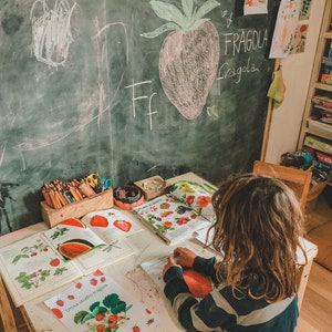 Strawberry Study Unit