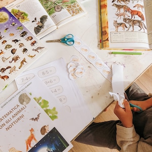 Mathematics with Nocturnal Animals
