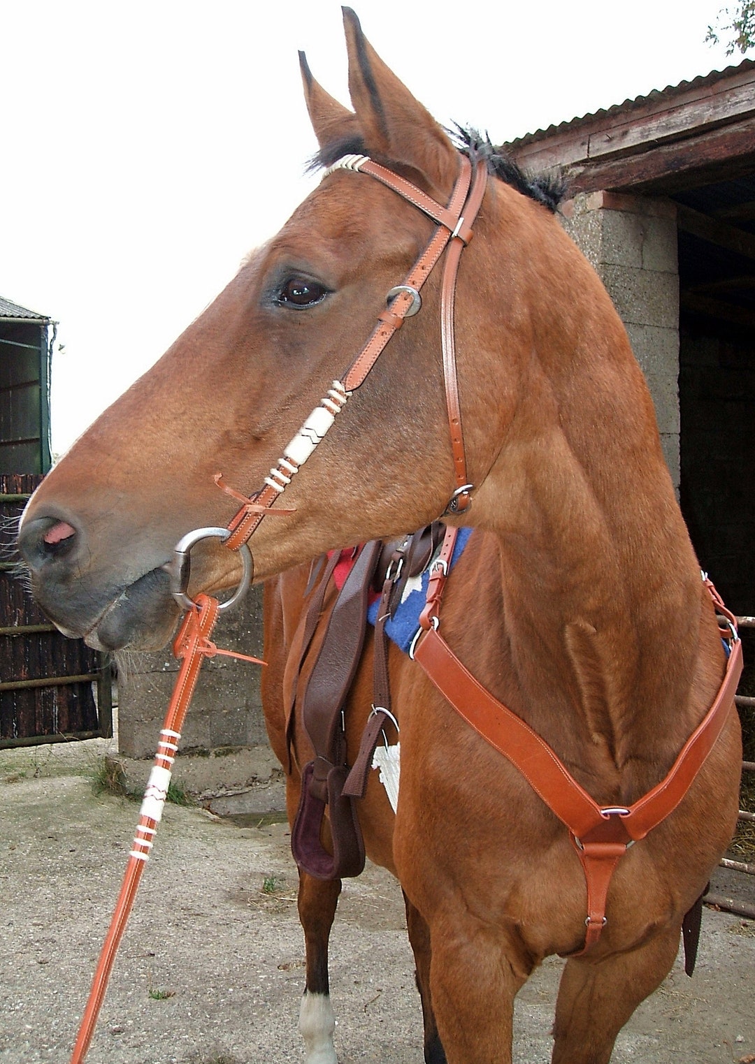 Western Breast Collar Saddle Breastplate Tan Brown Leather Etsy