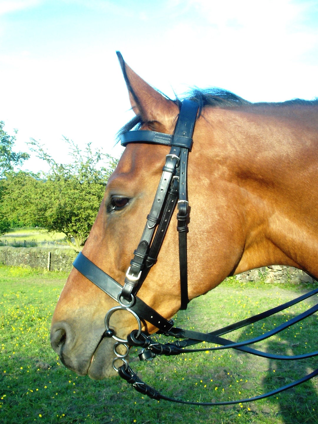 English Leather Double Bridle & Double Reins Weymouth Show Dressage Black Etsy