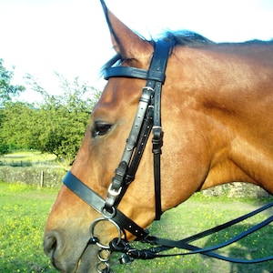 English Leather Double Bridle & Double Reins Weymouth Show Dressage Black-