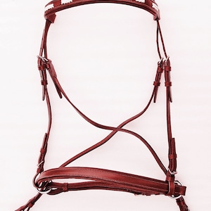 May include: A brown leather horse bridle with white stitching and silver hardware.