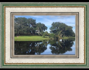 Reflection Lanscape. Charleston, SC, Digital Download, Photo Download, Nature Photo