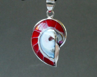 White, red, black, blue nautilus pendant in 925 silver
