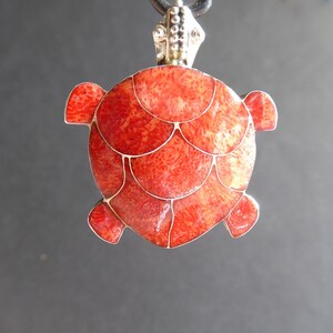 Jolie tortue en forme de coeur - France