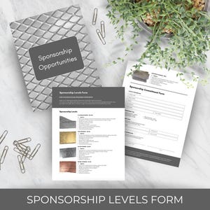 Sponsorship Levels Form Template for Clearly Presenting Sponsorship Opportunities to Potential Supporters | Editable and Printable Brochure