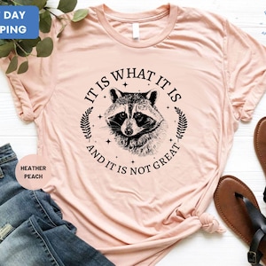 It Is What It Is And It&#39;s Not Great Shirt, Vintage Shirt, Raccoon Shirt, Mental Health Shirt, It is What It Is Shirt