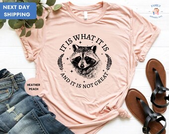 It Is What It Is And It's Not Great Shirt, Vintage Shirt, Raccoon Shirt, Mental Health Shirt, It is What It Is Shirt
