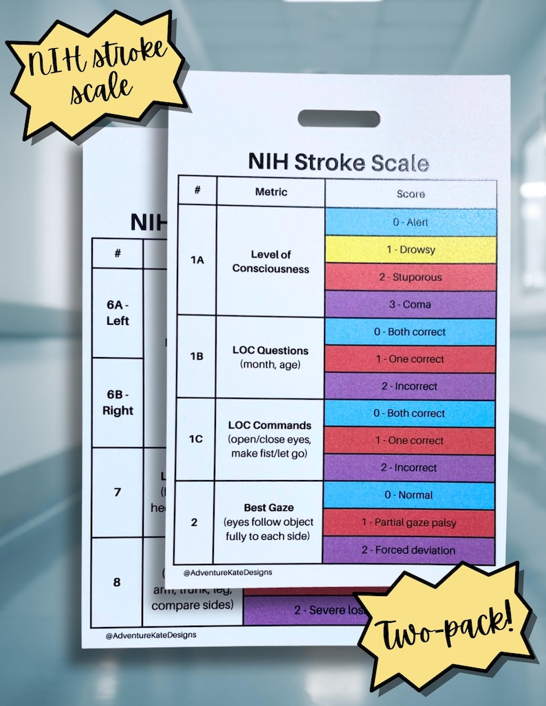 NIH Stroke Scale - Badge Buddy Set - Waterproof 2-pack - Nurse Resident ...