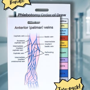 Könnte beinhalten: Ein Zweierpack weißer pädagogischer Referenzkarten mit der Aufschrift Phlebotomy Bundle. Eine Karte zeigt ein anatomisches Diagramm der vorderen Handflächenvenen, die andere listet die Reihenfolge der Blutabnahme mit farbigen Etiketten.