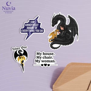 Dragon Riders Academy Sticker Pack – Set of 16 Vinyl Stickers | Laminated Waterproof Stickers image 3